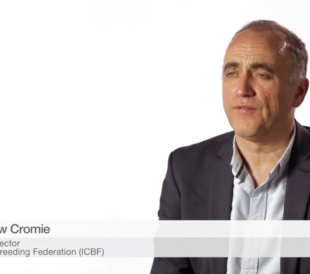 Andrew Cromie conducts genetic testing on Irish cattle