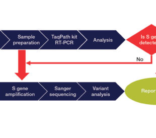 Workflow for Sanger sequencing detection of S gene variants