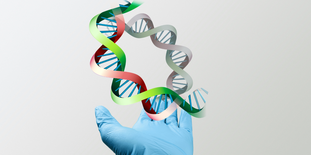 Quantifying Glutathione Bioavailability Using LC-HRMS for Nutraceutical Applications