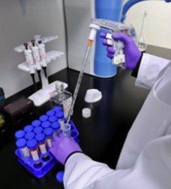 pipette in sample tubes
