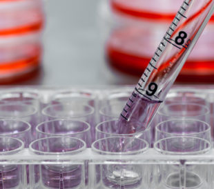 Test tubes in a lab. Image: Hakat/Shutterstock.com
