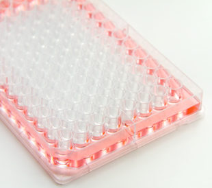 cell culture, cell-based assays, 96 well plate, edge effect