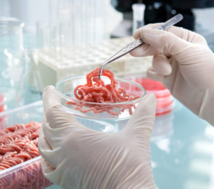 Ground beef inspection in a lab