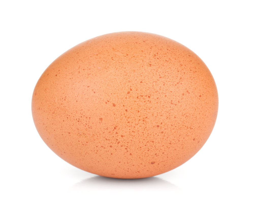 egg beaten