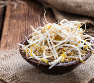 Bowl of Mung bean sprouts