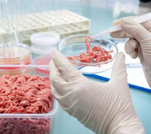 Food quality control expert inspecting at meat specimen in the laboratory. Image: Alexander Raths/Shutterstock.com.