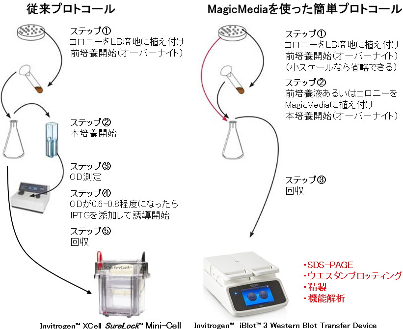 こんな製品あったのか！】MagicMedia E. coli Expression Mediumを用