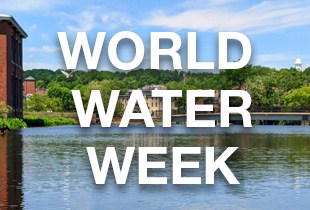 The Ipswich River with World Water Week written across the image.
