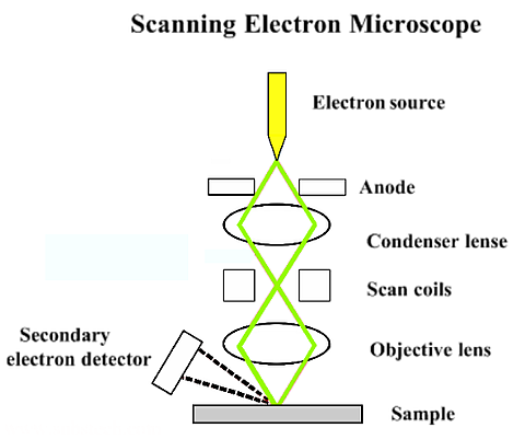 Surgery cake Push Scanning Electron Microscopy - SEM - Advancing Materials
